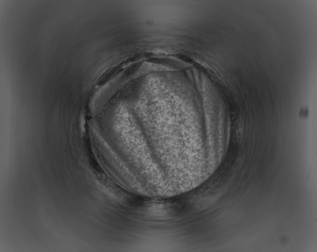 X0000093260746200710171449