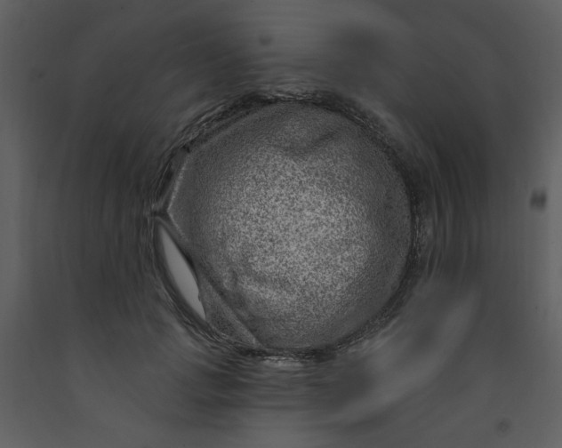 X0000093260749200710171449