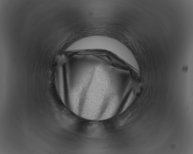 X0000093260750200710171449