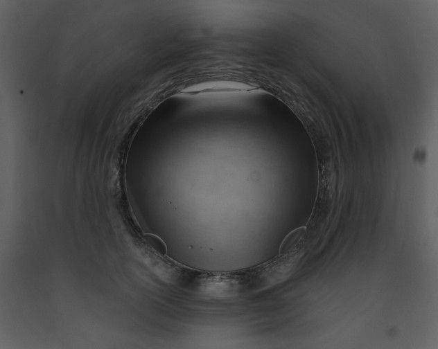 X0000093260754200710171449