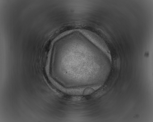 X0000093260757200710171449