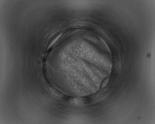 X0000093260758200710171449