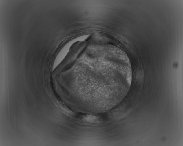 X0000093260759200710171449