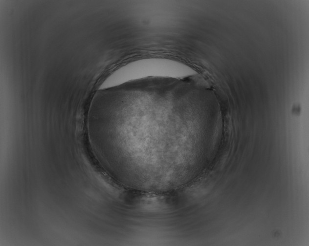 X0000093260760200710171449