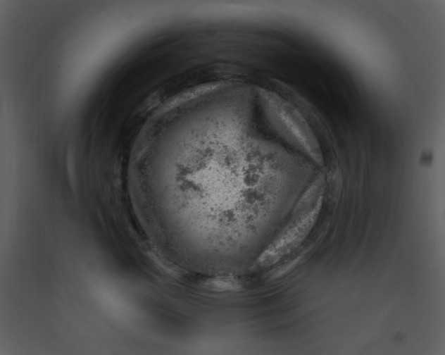 X0000093260765200710171449