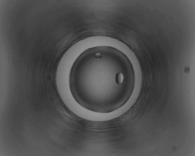 X0000093260766200710171449