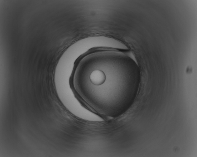 X0000093260768200710171449