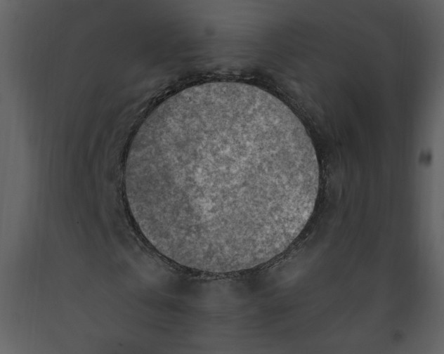 X0000093260769200710171448