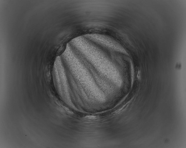 X0000093260771200710171448