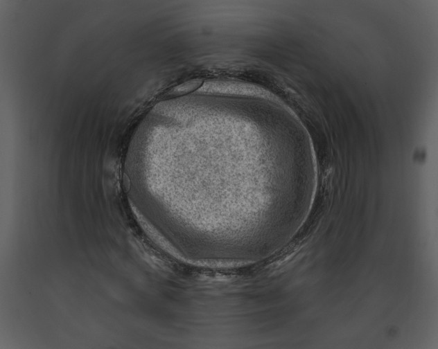 X0000093260772200710171448