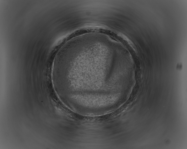 X0000093260775200710171448