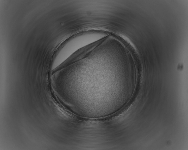 X0000093260777200710171448