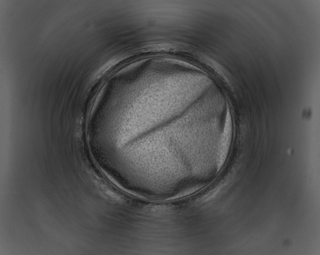 X0000093260778200710171448