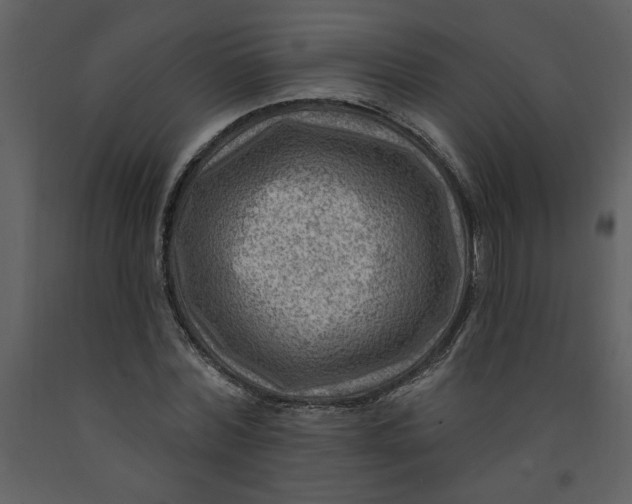 X0000093260780200710171448