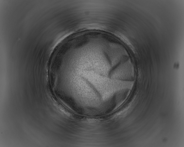 X0000093260782200710171448