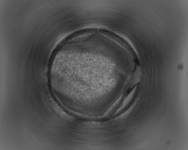 X0000093260783200710171448