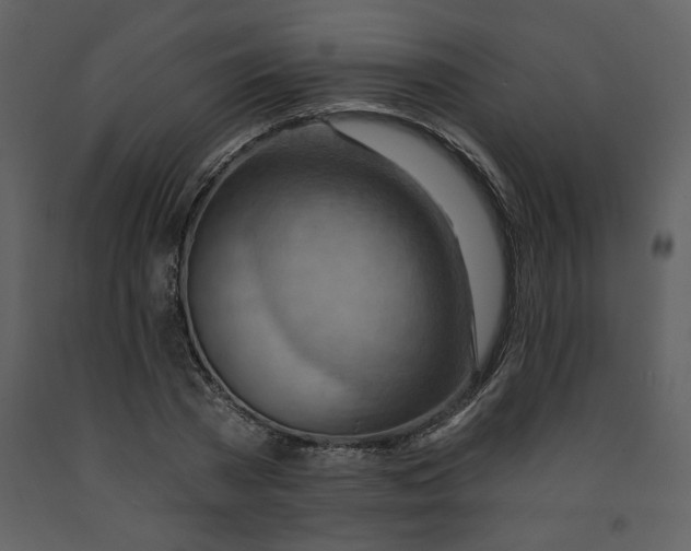 X0000093260785200710171448