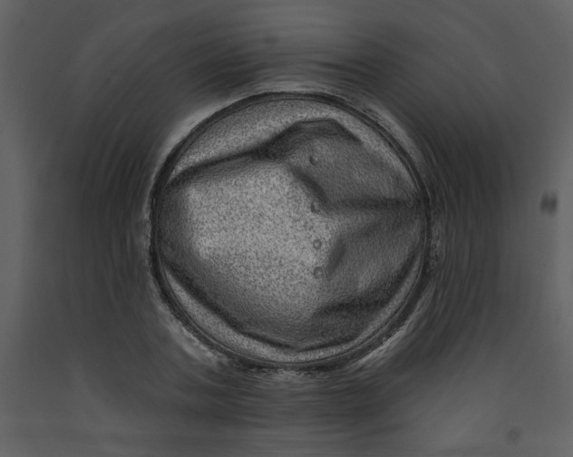 X0000093260787200710171448