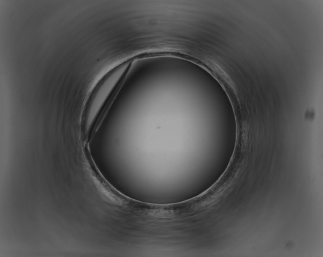 X0000093260789200710171448