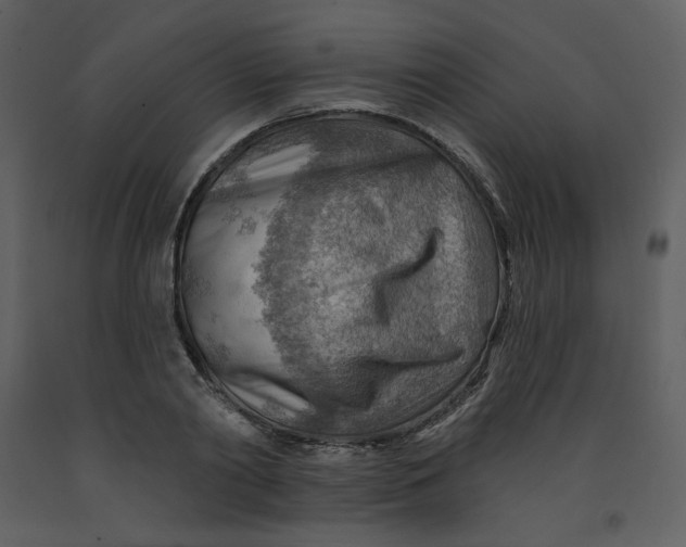 X0000093260790200710171448