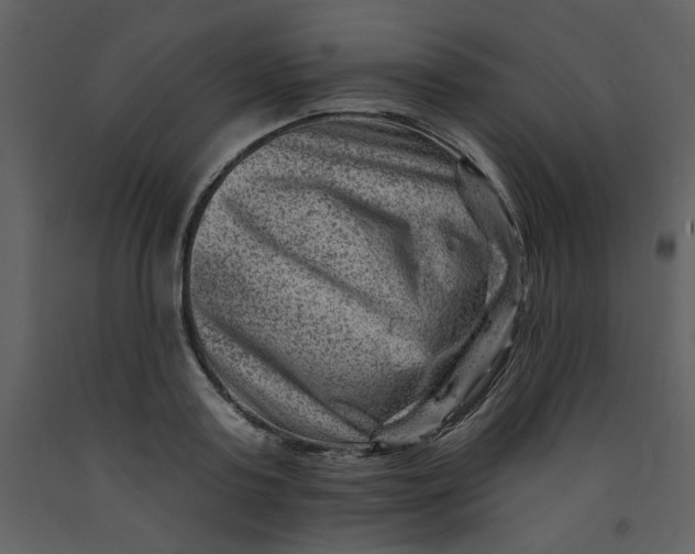 X0000093260795200710171448