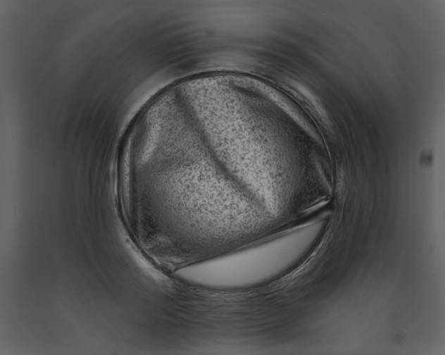 X0000093260796200710171448