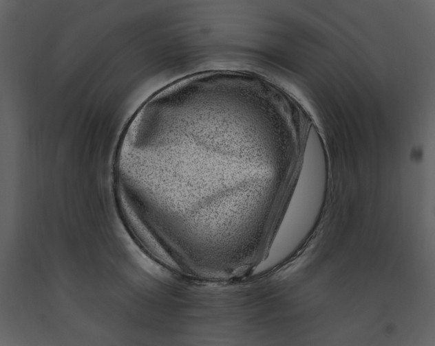 X0000093260803200710171448