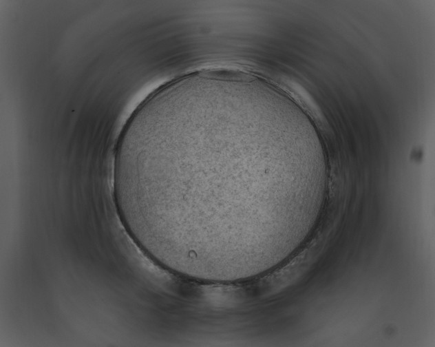 X0000093260804200710171448