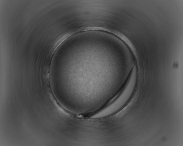 X0000093260809200710171448