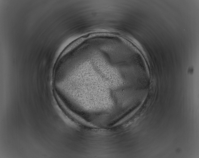 X0000093260811200710171447