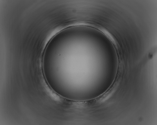 X0000093260813200710171447