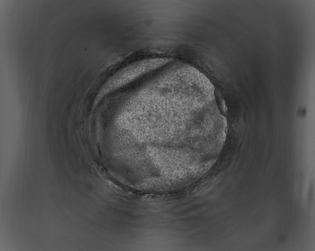 X0000093260817200710171447