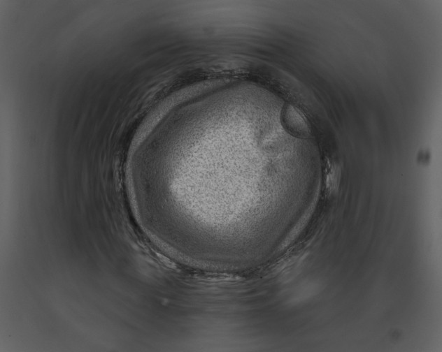 X0000093260819200710171447