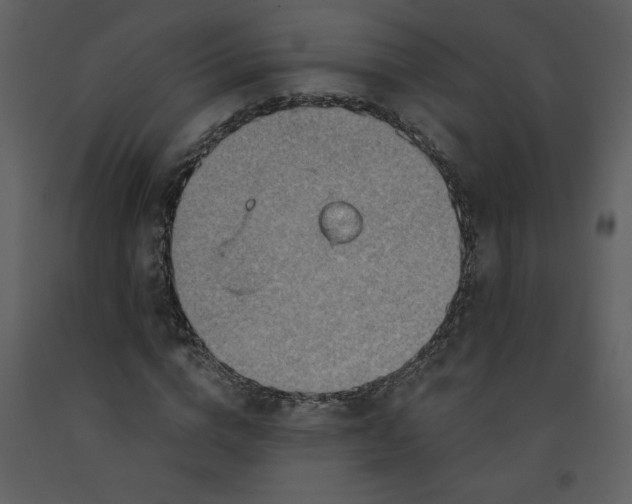 X0000093260824200710171447