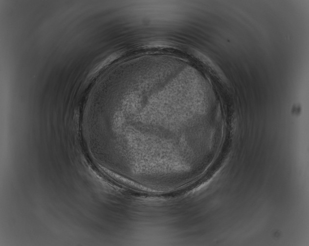 X0000093260825200710171447