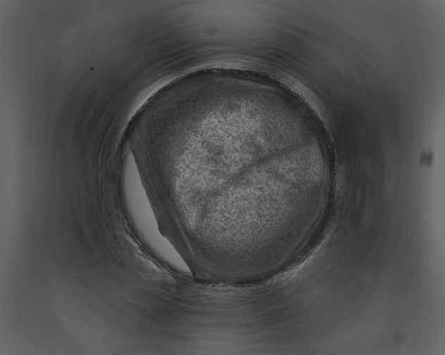 X0000093260829200710171447