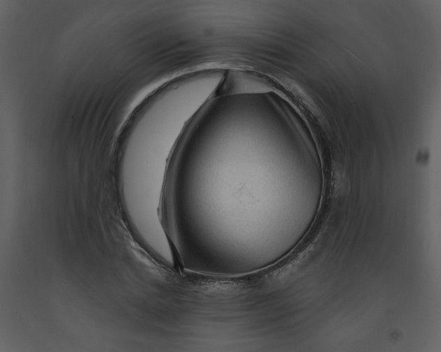 X0000093260830200710171447