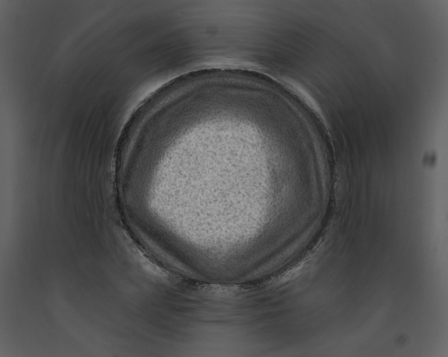 X0000093260831200710171447