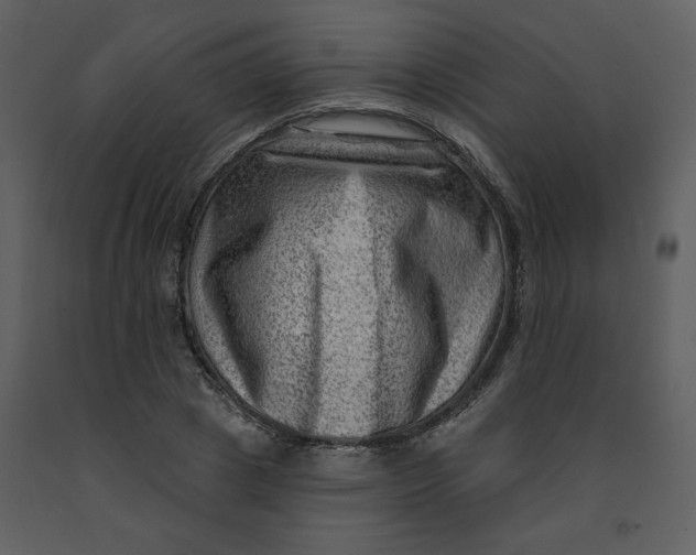 X0000093260833200710171447