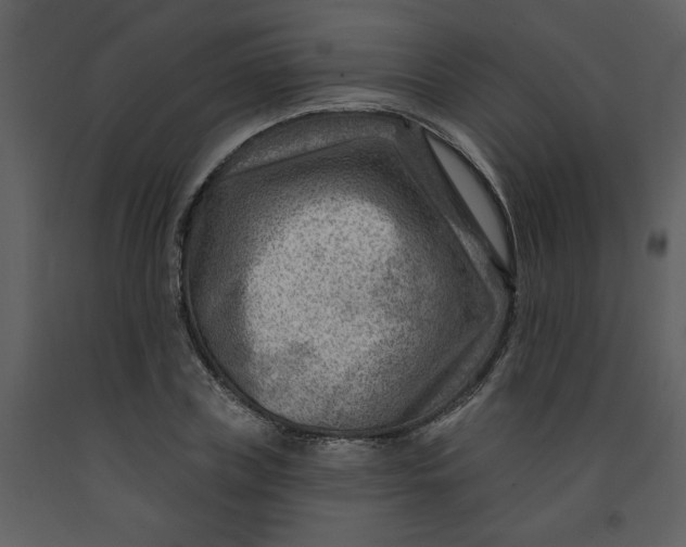 X0000093260835200710171447