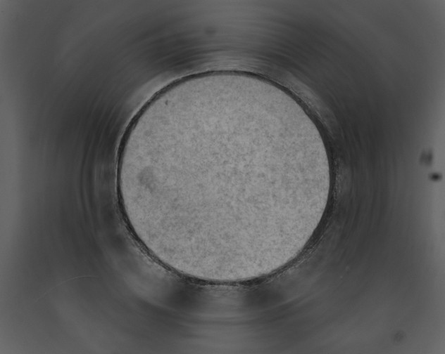 X0000093260836200710171447