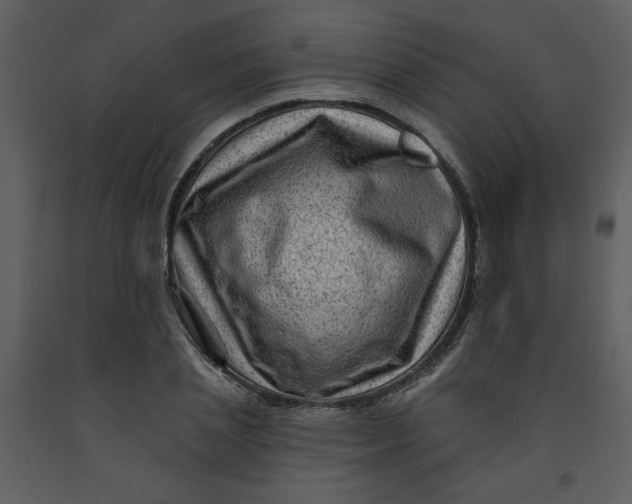 X0000093260837200710171447