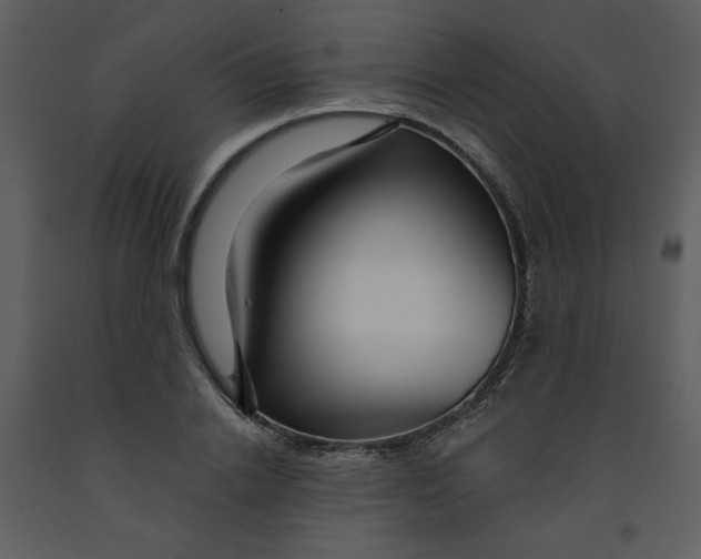 X0000093260838200710171447