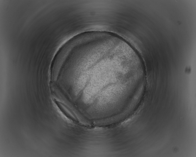 X0000093260839200710171447