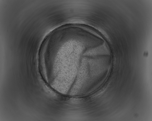 X0000093260840200710171447