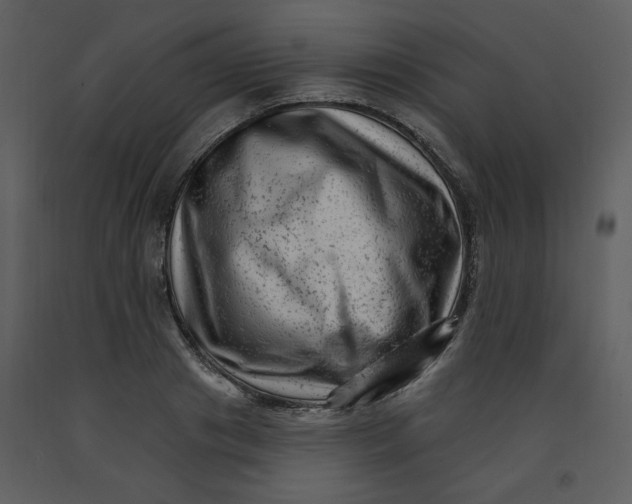 X0000093260841200710171447