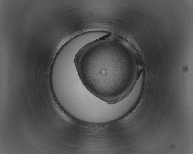 X0000093260842200710171447