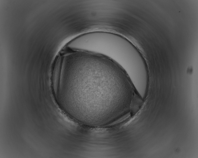 X0000093260846200710171447