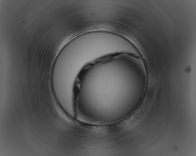 X0000093260850200710171447