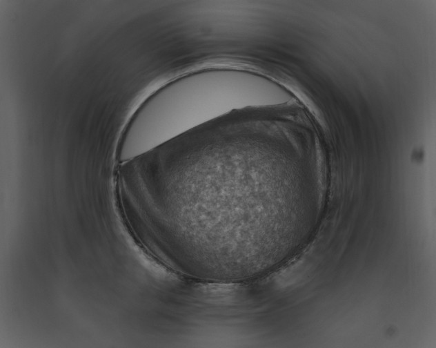 X0000093260853200710171447